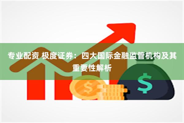 专业配资 极度证券：四大国际金融监管机构及其重要性解析