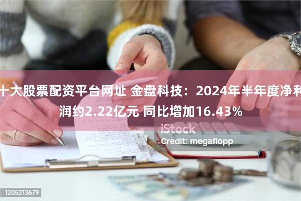 十大股票配资平台网址 金盘科技：2024年半年度净利润约2.22亿元 同比增加16.43%