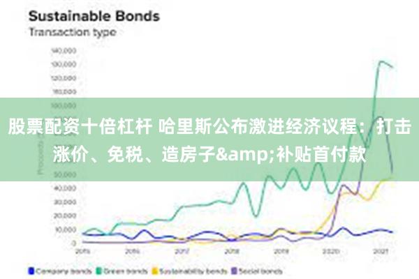 股票配资十倍杠杆 哈里斯公布激进经济议程：打击涨价、免税、造房子&补贴首付款