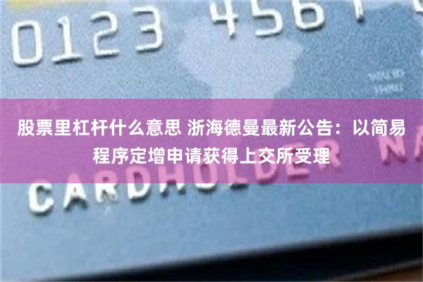 股票里杠杆什么意思 浙海德曼最新公告：以简易程序定增申请获得上交所受理