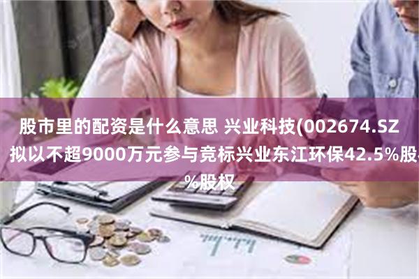 股市里的配资是什么意思 兴业科技(002674.SZ)：拟以不超9000万元参与竞标兴业东江环保42.5%股权