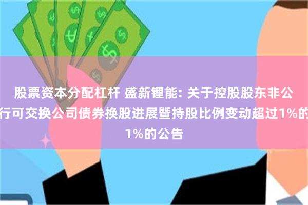 股票资本分配杠杆 盛新锂能: 关于控股股东非公开发行可交换公