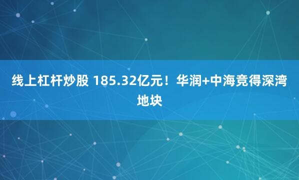 线上杠杆炒股 185.32亿元！华润+中海竞得深湾地块