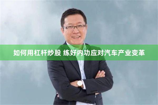 如何用杠杆炒股 练好内功应对汽车产业变革