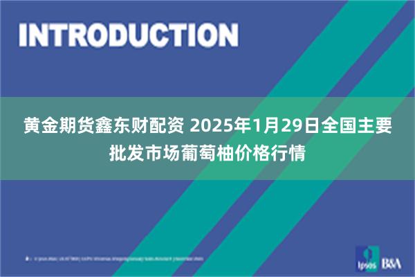 黄金期货鑫东财配资 2025年1月29日全国主要批发市场葡萄柚价格行情