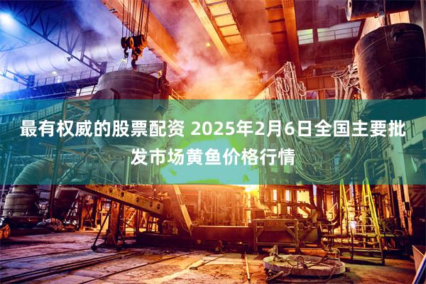 最有权威的股票配资 2025年2月6日全国主要批发市场黄鱼价格行情