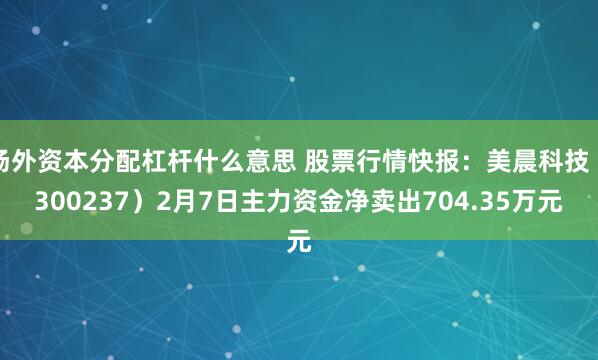 场外资本分配杠杆什么意思 股票行情快报：美晨科技（300237）2月7日主力资金净卖出704.35万元