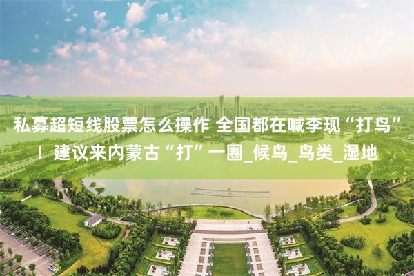 私募超短线股票怎么操作 全国都在喊李现“打鸟”！建议来内蒙古“打”一圈_候鸟_鸟类_湿地